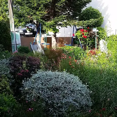 Agard * Brodarica (Sibenik-Knin)