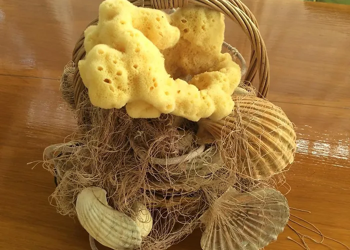 Agard Бродарица