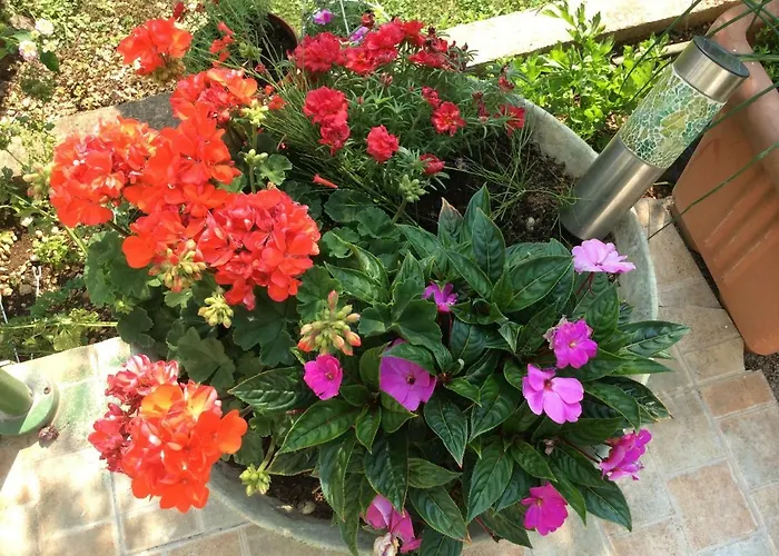 Апартаменты Agard